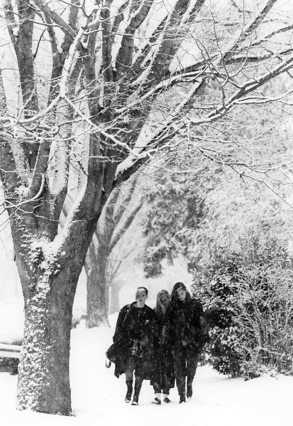 1989: Second-coldest December